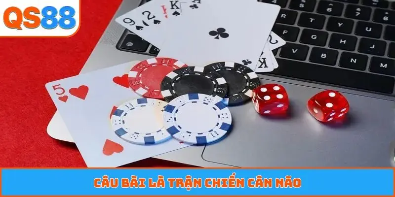 Câu bài là trận chiến cân não
